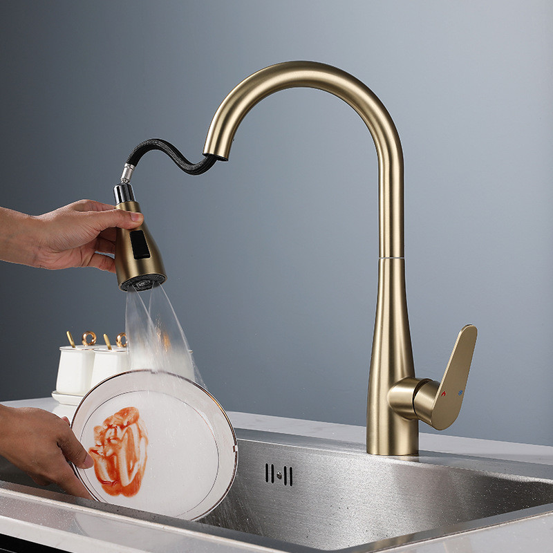 Gebürstete Goldene Ausziehbare – Kitchen Gadgets Mixer Bewertung und Preis