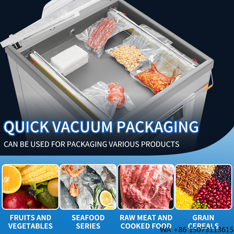 DZ-500 Vertikaler Einkammer-Le – Food Vacuum Sealer Bewertung und Preis